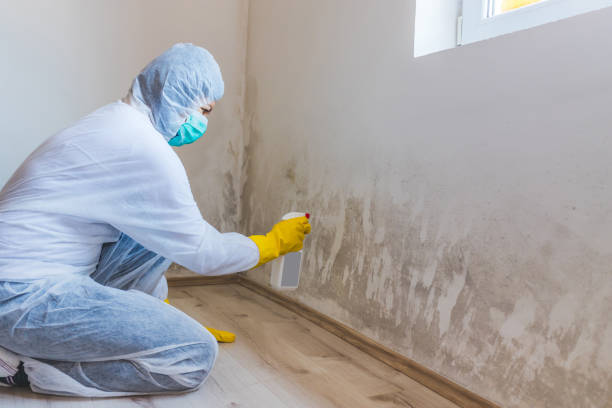 Licensed Crawl Space Mold Removal service in La Grange, NC - WQB Mold Removal