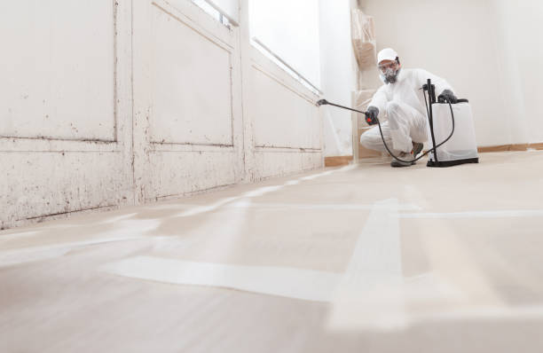 24/7 Emergency Crawl Space Mold Removal experts in La Grange, NC