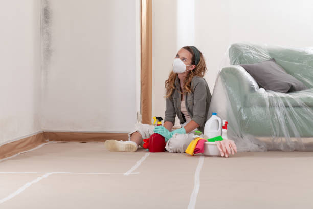 Reliable Crawl Space Mold Removal contractor in La Grange, NC by WQB Mold Removal